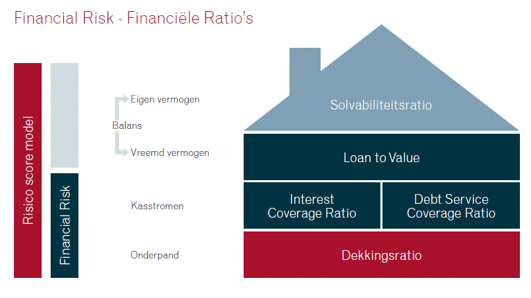 Het Financial risk model steun op 5 financiële ratio s, die hieronder grafisch zijn weergegeven.