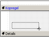 Hoofdstuk 8.1 Rapportage editor U heeft nu de tool Tekstveld geselecteerd. Deze kunt u nu gaan plaatsen in het Kopregel vak.