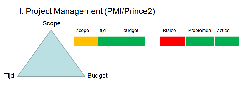 Condities: leveranciers dienen projecten te implementeren conform de richtlijnen van PMI of Prince 2 project methodologie.