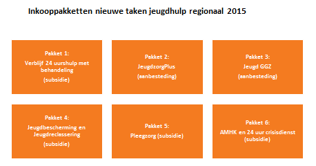 Regionaal Beleidsplan Jeugd Flevoland In het Regionaal Beleidsplan Jeugd staan onderstaande afspraken over de taken van de aankoopcentrale.