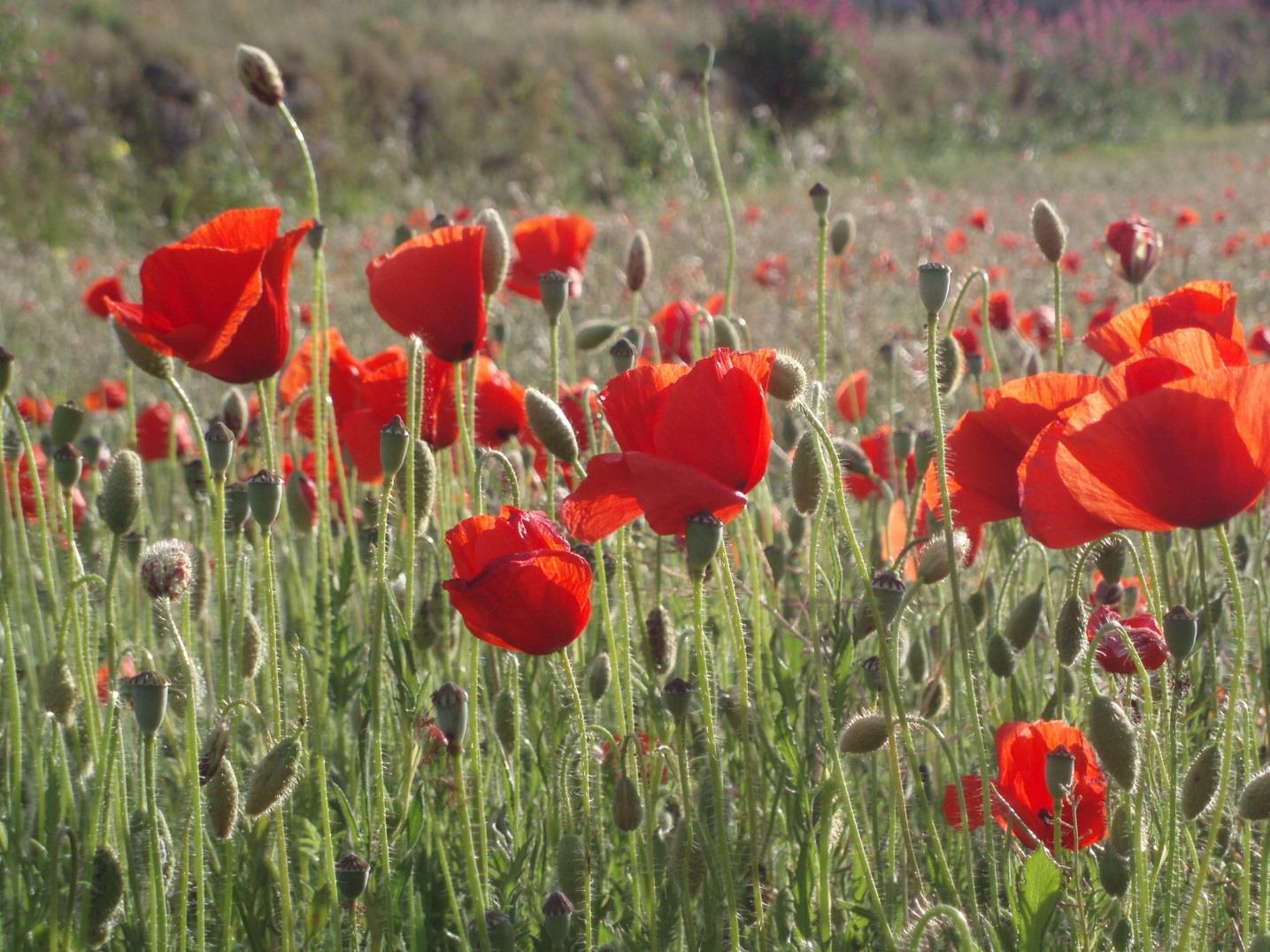 Levering natuurbeheerders aan