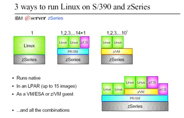 zonder enige aanpassing gebruikt en de Linux systeemstructuur blijft ongewijzigd. Er waren wel een paar "aanpassingen" nodig om specifieke eigenschappen van de S/390 architectuur te gebruiken.