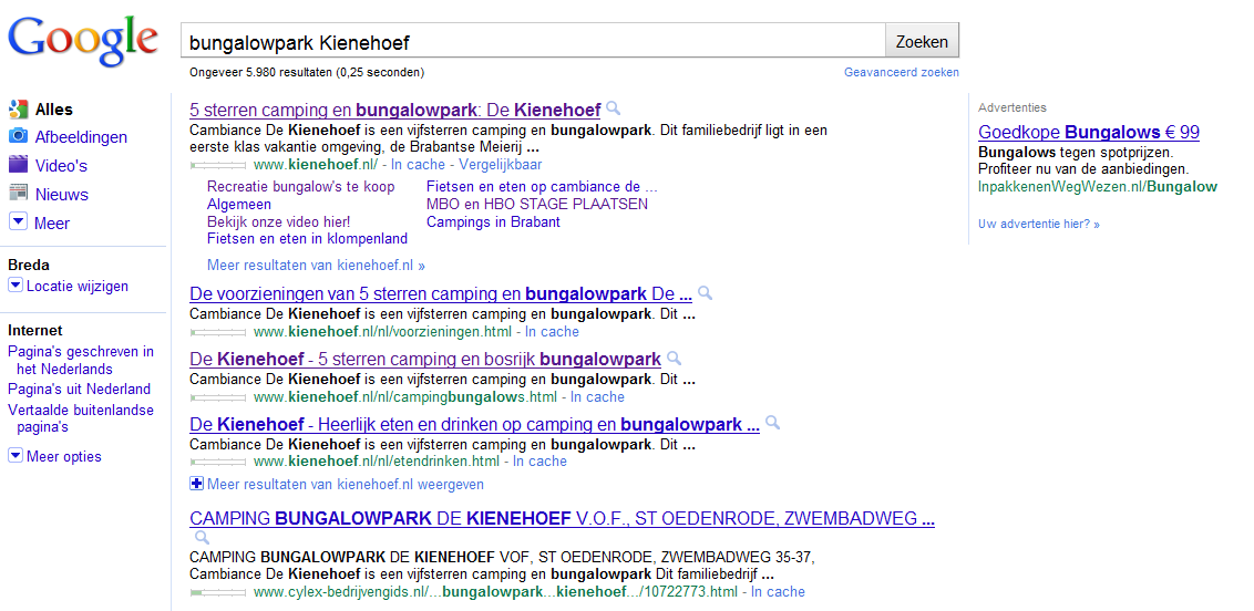 2. Bedrijfsresultaten in Google voor de Kienehoef: Allereerst zijn er 4 zoekopdrachten gedaan met de bedrijfsnaam hierin verwerkt. Vervolgens zijn er nog 2 