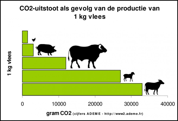 Slide 13: Profit, de derde pijler (de 3de P) Profit wijst op de economische opbrengst, de winst.