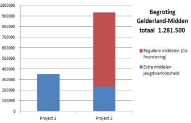 Factsheet Gelderland-Midden Doorlooptijd: 1,5 jaar juni 2013 december 2014 Gekozen is voor een gericht en een compact actieplan om jeugdwerkloosheid direct aan te kunnen pakken.
