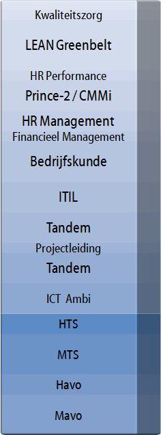 Rollen die ik vervuld heb zijn: Recruiter, organisatieadviseur, procesmanager, ICT manager, businessanalist, projectleider, opleidingsadviseur, system manager, programmeur, analist.