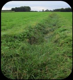 Tabel 1: Definitie van de kleine waterlichamen en hun risico op het voorkomen van de tussengastheer (aangeduid met het aantal slakken). Deze risico s werden afgeleid uit een Veepeiler Rund-project.