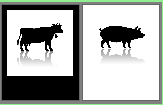 Het veld Categorie wordt automatisch ingevuld; de velden Artikel type en Artikel subtype dient u zelf in te vullen. Afhankelijk van de selectie kan het zijn dat u bijkomende velden dient in te vullen.