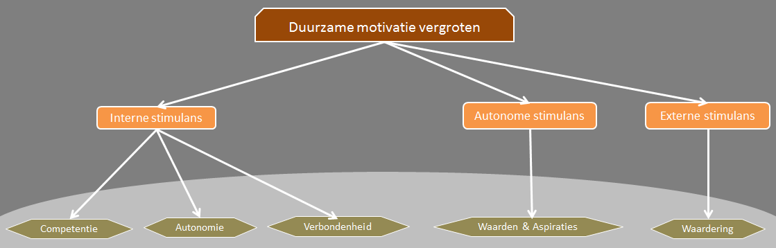 Bij de behoefte aan competentie gaat het erom invloed kunnen hebben op je omgeving, het gevoel te hebben je de nodige capaciteiten hebt en dat je die kan inzetten om goed werk te leveren.