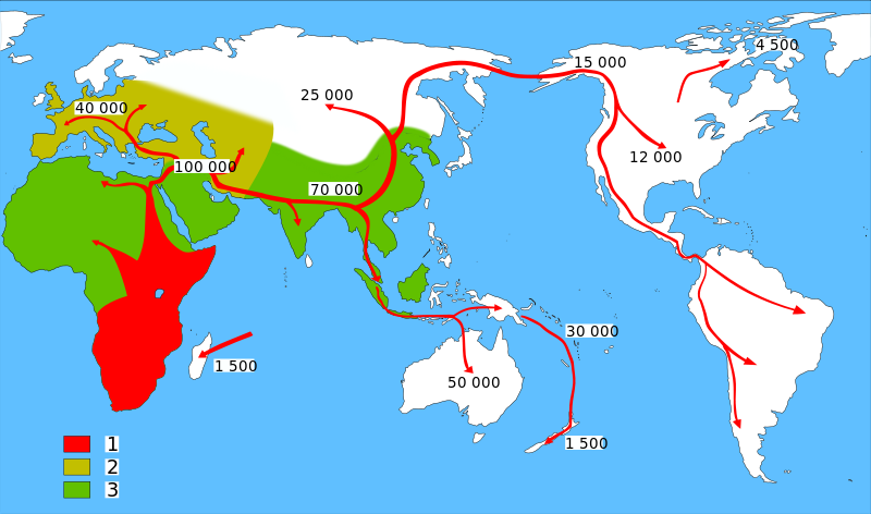 Homo sapiens