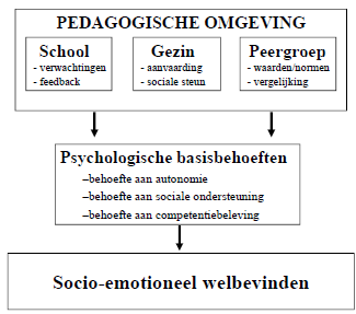 Zelfbeeld bestaat uit het zelfconcept (objectief) en de zelfwaardering (affectief). Kinderen maken een onderscheid binnen de aspecten van zichzelf, schools zelfconcept vs. Sociaal zelfconcept vs.