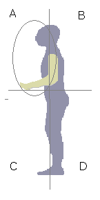 ons ver van ons af. Schaamte en gêne over ons lichaam speelt hierin een rol. Als we kopje onder gaan in het bewegingskanaal komt dat door keurende, afkeurende of steelse blikken.