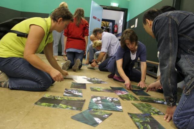 2011 was voor het Stichtingsbestuur opnieuw een rustig jaar. We hebben in maart met hulp van de leden en hun ouders meegedaan aan de collecte voor Jantje Beton.