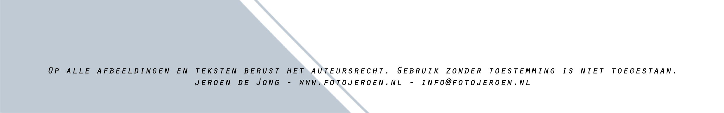 Welke batterijen stop je in je flitser Koop je vier batterijen op de hoek van de straat, of wil je