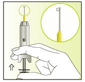 3. Houd de spuit vast met de grijze dop naar boven Tik zachtjes met uw vinger tegen de spuit om luchtbelletjes naar boven te laten gaan. 4.