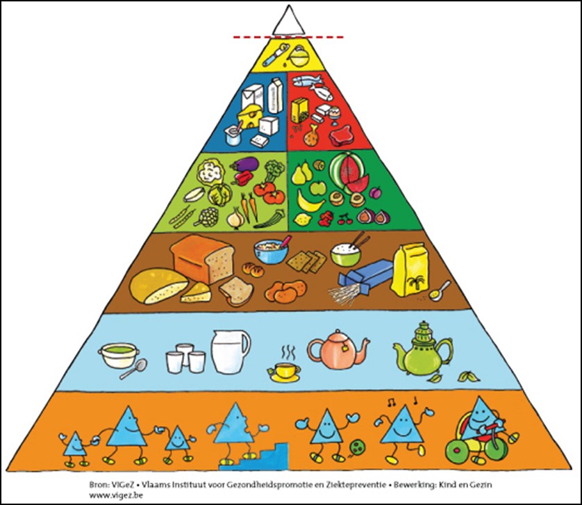 Voedingsbehoeften van lagere schoolkinderen. Een goede gezondheid begint met een gezonde, evenwichtige voeding. De actieve voedingsdriehoek is hierbij niet weg te denken.