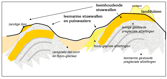 de aanwezigheid van geleidelijke overgangen en gradiënten tussen de verschillende habitattypen van zandverstuivingen tot bos.