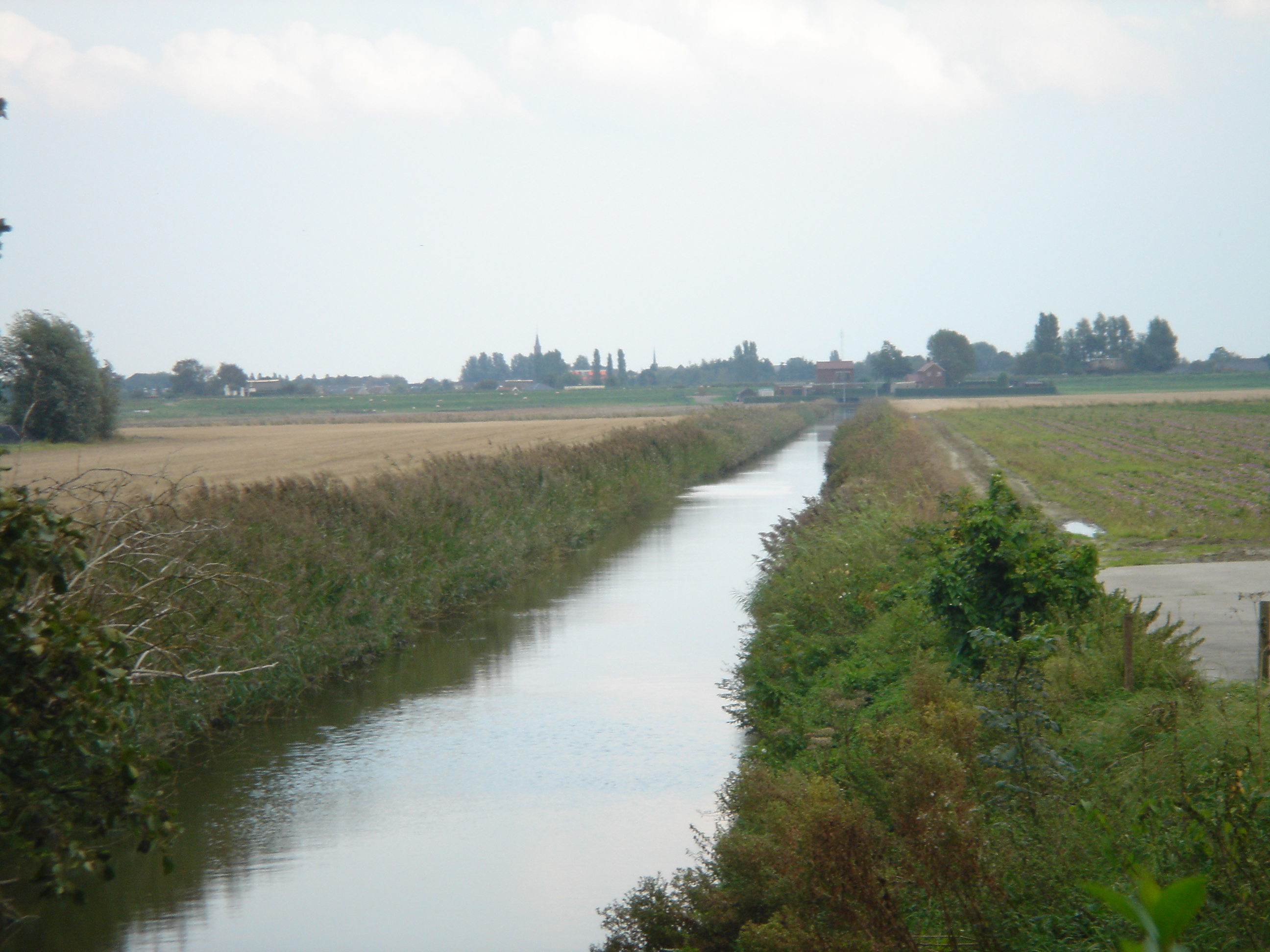 Als er in de praktijk veel minder water- en oeverplanten blijken te groeien, dan kan het onderhoud dus beperkt worden. Als voorbeeld is in bijlage 2 de kaart voor 2009 te zien.