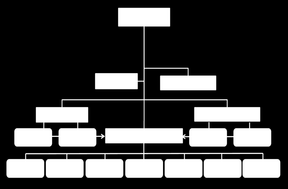 Figuur 4: Organogram van het departement stedelijke infrastructuur > 2.2.1.