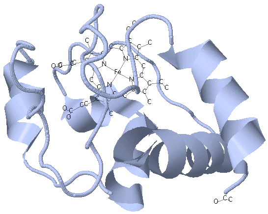 Buitenmembraan ATP Synthase NADH ATP Citroenzuur cyclus Matrix Fumaraat Succinaat Binnenmembraan c ytoc hroom c oxidase bc 1 c omplex Intermembraan-ruimte Cytochroom c Heem c HS SH N N Fe N HO N O O