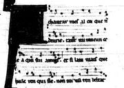 Onder de bijna vierhonderd troubadours van wie we teksten konden bewaren vinden we ook enkele trobairitz (vrouwelijke troubadours). Zij getuigen van een niet ondergeschoven positie van de vrouw.