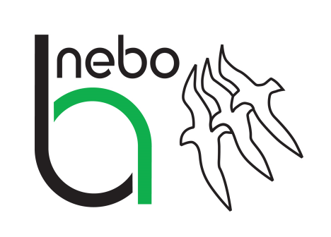 Kwaliteitsafdeling Afdeling PO&O Beveiligingswerkgroep Commissie Fysieke Belasting Arbo-werkgroep Nebo Arbo- en