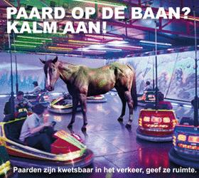 Bewegende banner (rollende traan) met link naar de subwebsite voor de Stichting voor paarden in nood : Nieuw sinds 2011!