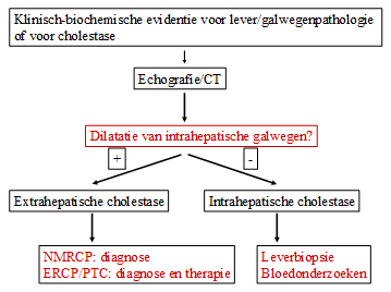 Extrahepatische cholestase door: choledocholithiasis, pancreaskoptumor, tumor galwegen, compressie galwegen, strictuur galwegen, PSC.