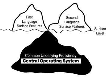 Om deze drie zwakke punten van het genoemde model te ondervangen, kwam Cummins met een alternatief, namelijk het Common Underlying Proficiency model of bilingualism (CUP) (Cummins, 1980a; in: Baker,