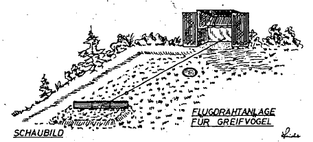 Figuur 2: Voorstelling van huisvesting op sprengel met spitshuis Bron: Bundesamt für Veterinärwesen (1983) 5.2.2.2 Trolley of vluchtdraad Een trolley bestaat uit een nylon- of draadkabel tussen twee zitgelegenheden.