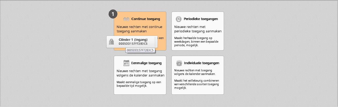 Continue toegang betekent dat toegang 24 uur per dag mogelijk is. De bevoegdheid kan beperkt worden door een begin- en einddatum te kiezen.