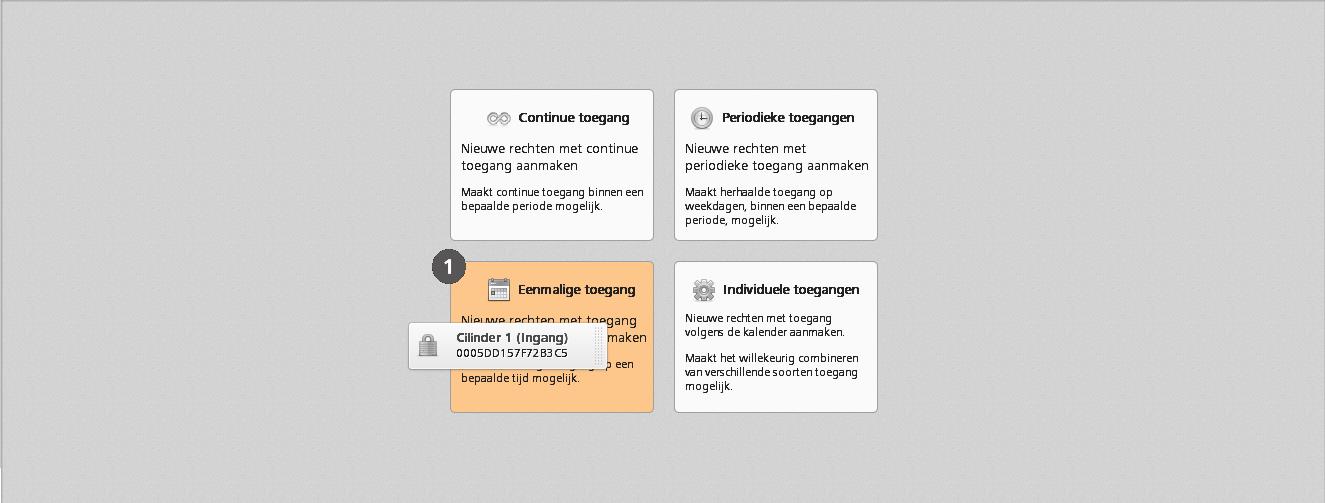 Afbeelding :127 Eenmalige toegang verstrekken > Bepaal de periode waarin de eenmalige toegang geldig is.