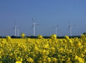 Aandeel Windenergie in de SDE/MEP Gerealiseerde