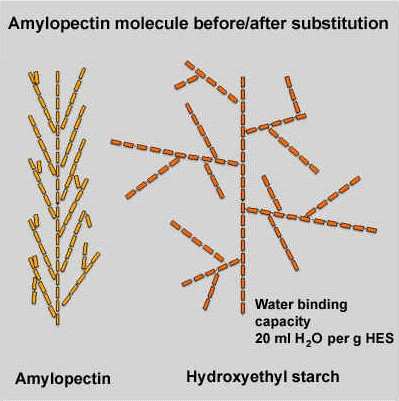 Vochtbeleid Distributie van IV vocht 1L Colloid Oncoticiteit Crystalloïden Colloïden Bloedproducten Natuurlijke Synthetische 2/3 Albumine Gelatines Dextranen Zetmelen 1/3 3/4 1L 1/4 Gelatines