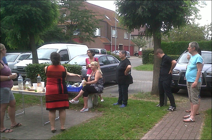 Activiteiten van de HAR in 2012 Vergadering van de HAR (Huurdersadviesraad) GAOZ: De HAR (Huurdersadviesraad) bestaat uit een groep van huurders die zich samen met Nieuw Dak inzetten voor het welzijn