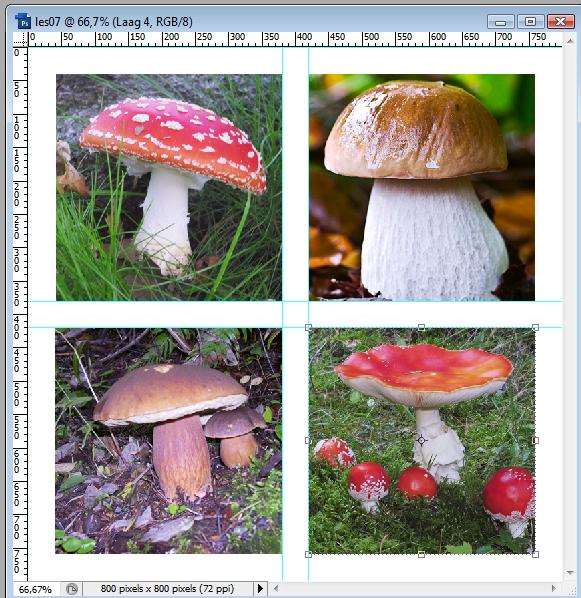 Klik een foto aan, selecteer verplaatsgereedschap, klik en sleep met ingedrukte linkermuisknop op foto met paddenstoel naar de witte afbeelding en zet juist met
