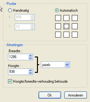 Als u tevreden bent met het resultaat moet u dat bevestigen door op de laag te dubbelklikken, door de [Enter] toets in te drukken, of met het commando[bevestigen] in het contextmenu van de laag.