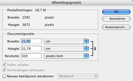 Bovenstaand voorbeeld toont aan dat uw foto aan 300 dpi nog een formaat heeft van 21,95 cm breed op 32,78 cm hoog. Het beeld wordt bewaard als JPEG met compressie 8, minimale compressie.