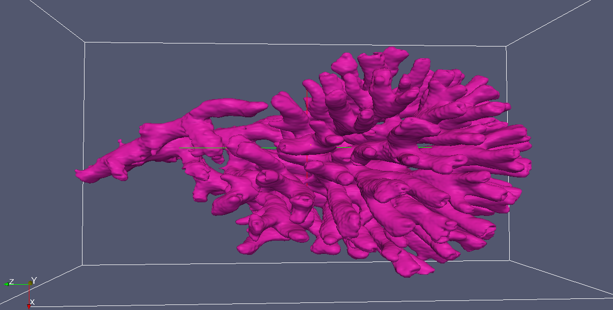 Figuur 5.23: De structuur van een koraal met threshold waarde 1900.