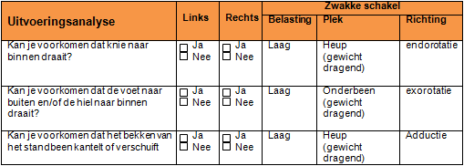 Stap 3: Analyse Dit is de uitvoeringsanalyse. De patiënt voert de beweging uit. De tester controleert de uitvoering van de test.