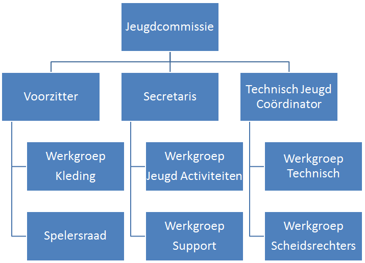 De jeugdcommissie bestaat met ingang van het seizoen 2015-2016 uit een voorzitter, secretaris en technisch jeugd coördinator. De jeugdcommissieleden worden ondersteunt door werkgroepen.