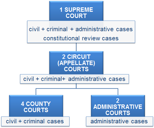Figure B13.1 - Court system Estonia 1.2. Criminal case file The criminal case file contains the collection of evidence concerning a particular criminal case against a defendant.