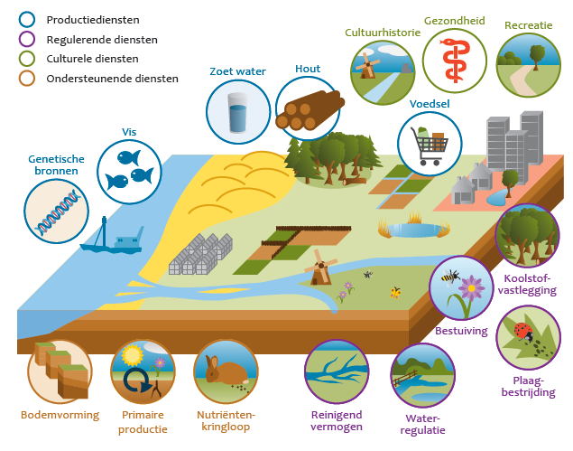 Figuur B4.1 Ecosysteemdiensten Bron: PBL 2010 Wat natuur de mens biedt.