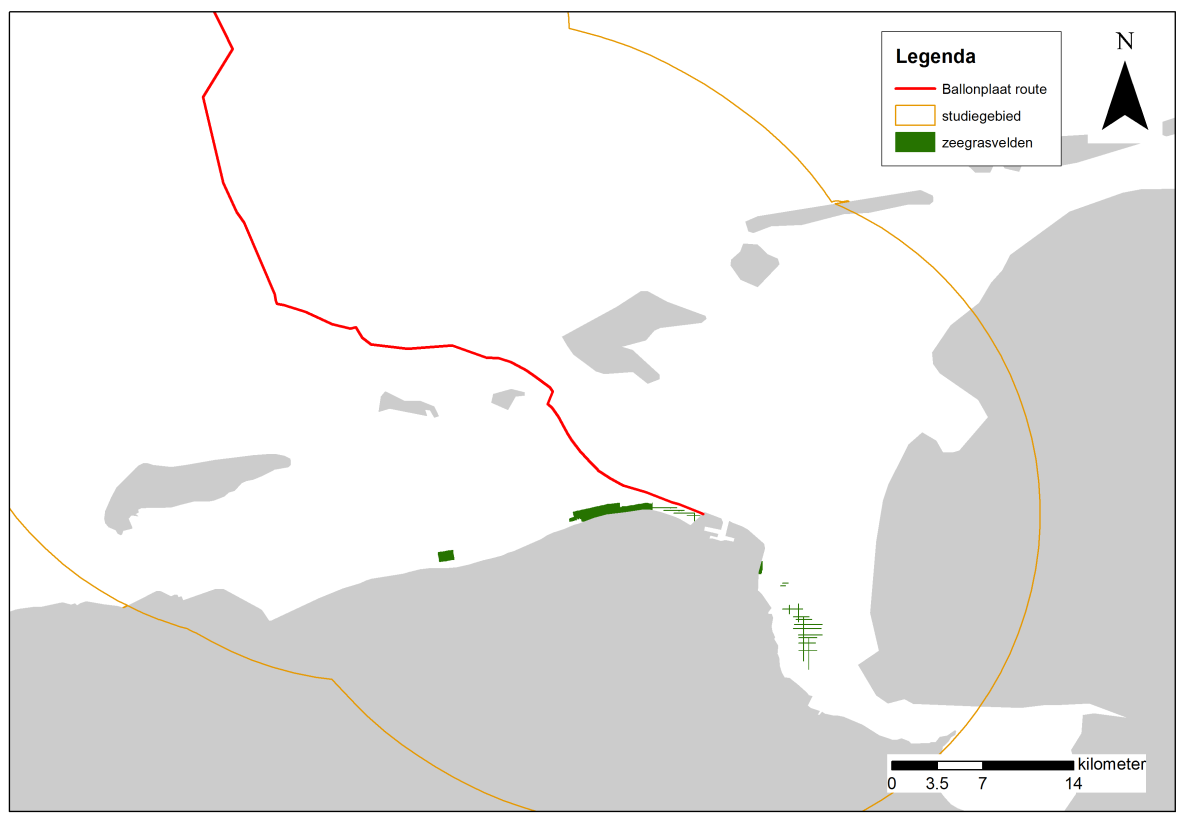 Figuur 34: Percentage bedekt oppervlak van zeegras langs de Groninger kust bij de locatie gasstation en ten zuidoosten van de Eemshaven. In een studie van de Jong et al.