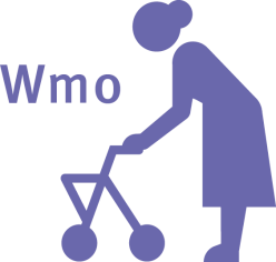 4. Wet maatschappelijke ondersteuning Op 1 januari 2015 krijgen wij als gemeente met het ingaan van de Wmo 2015 meer verantwoordelijkheid voor het organiseren van passende ondersteuning aan huis voor
