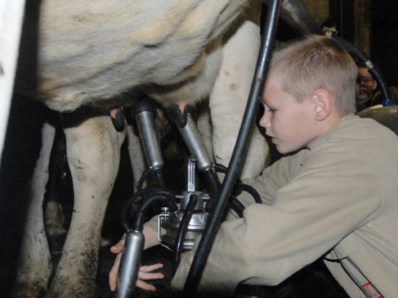 Melkdiploma, machinaal koeien melken Voor wie: Voor leerlingen die stage lopen of later willen werken bij een veebedrijf of in de melktechniek.