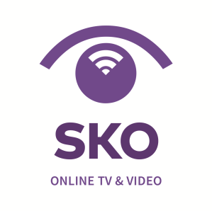 STICHTING KIJKONDERZOEK OTV ONLINE TV EN VIDEO 2014