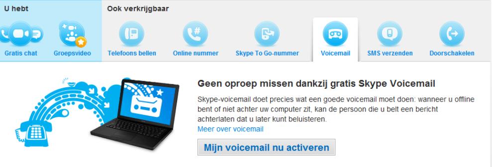 2. Voicemail activeren Zodra de website van Skype is geladen klikt u op Set up voicemail.