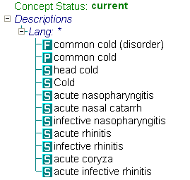 Basisbegrippen Concepten en omschrijvingen Concepten ConceptID Concept Status Descriptions