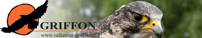 Valkenier Griffon organiseert met roofvogels en uilen veel verschillende activiteiten die geschikt zijn voor alle leeftijden.
